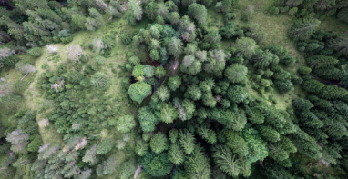 上海国际环境监测与过程控制展览会INTENV CHINA 2024